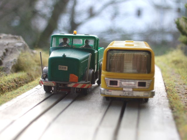 [Bild: KaelbleUndBus1_640x480.JPG]