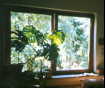 fenster3k